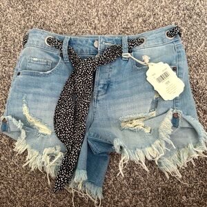 Brand New Altar’d State Jean Shorts